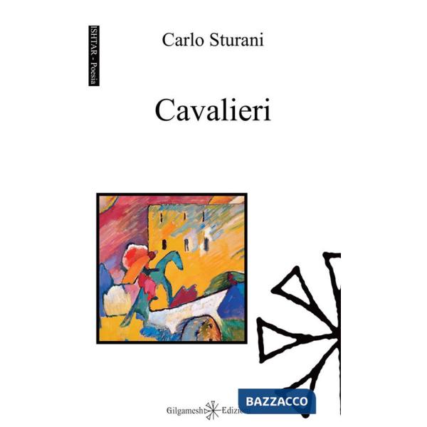 Cavalieri. Con Libro in brossura
