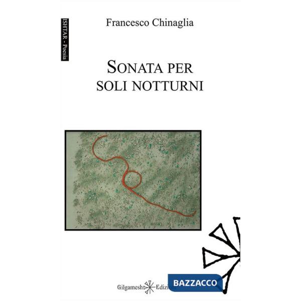 Sonata per soli notturni