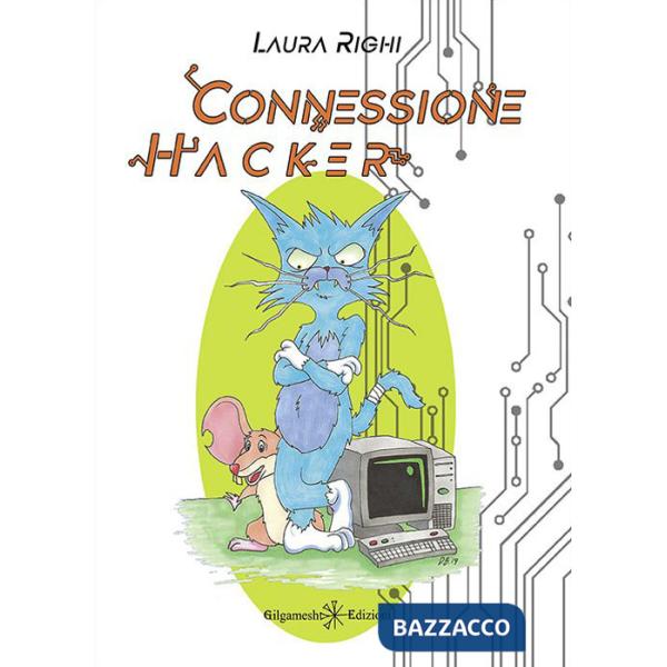 Connessione Hacker