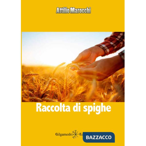 Raccolta di spighe