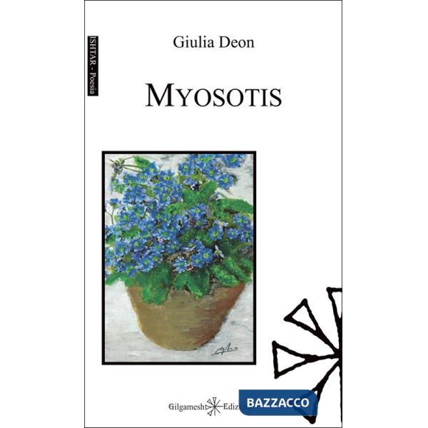 Myosotis