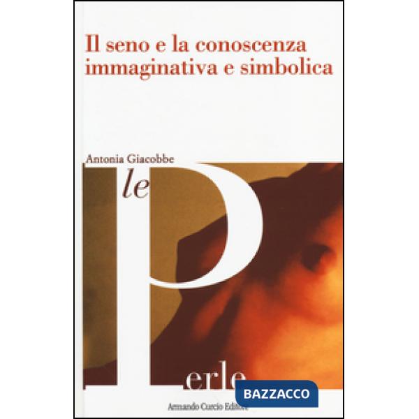 Seno e la conoscenza immaginativa e simbolica (Il)