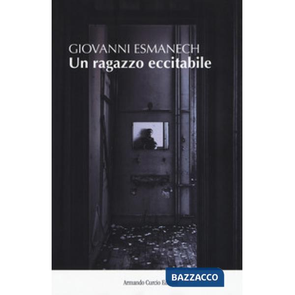 Ragazzo eccitabile (Un)