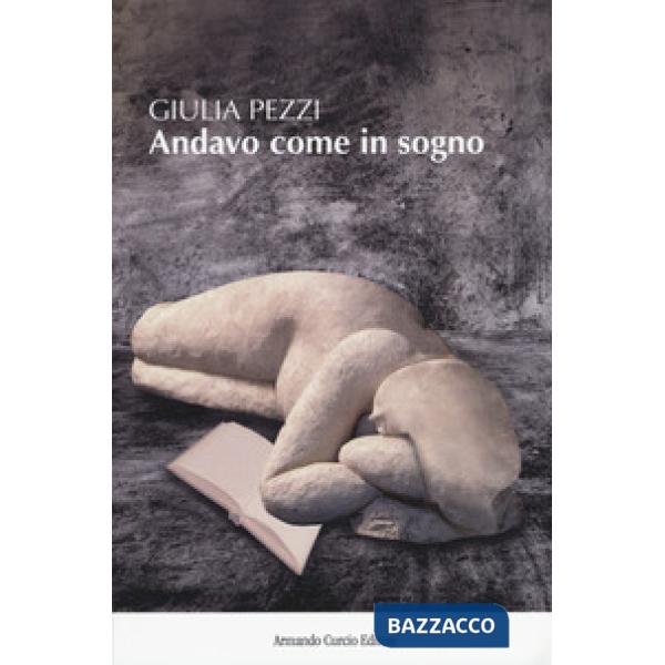 Andavo come in sogno