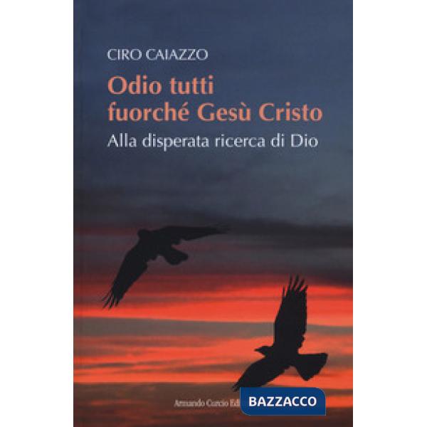 Odio tutti fuorché Gesù Cristo. Alla disperata ricerca di Dio
