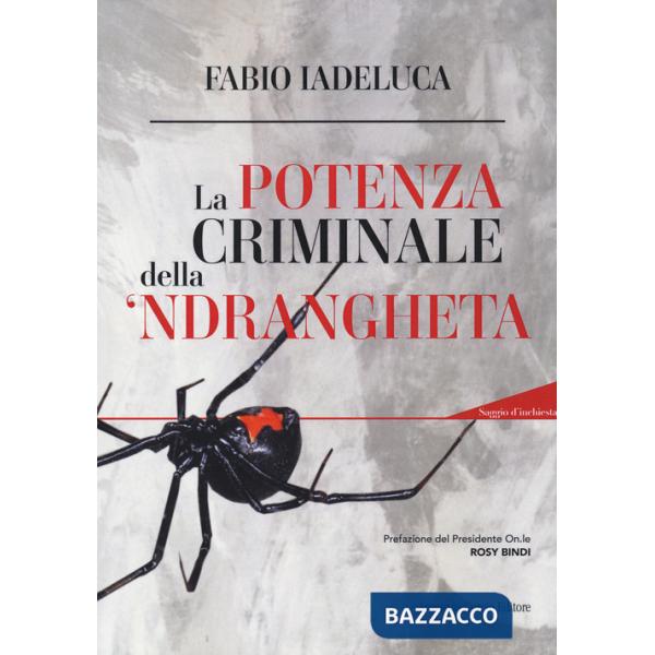 Potenza criminale della 'ndrangheta. Con QR-code (La)