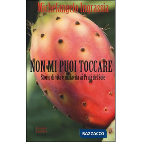 Non mi puoi toccare. Storie di vita e malavita ai Prati del Sole