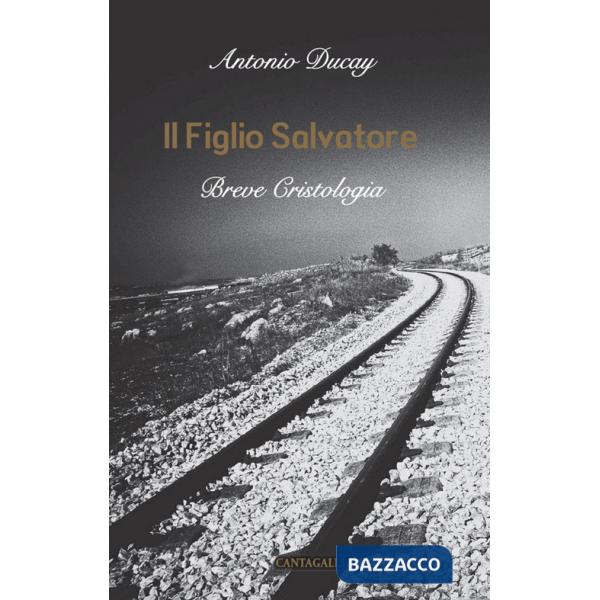 Figlio Salvatore. Breve cristologia (Il)