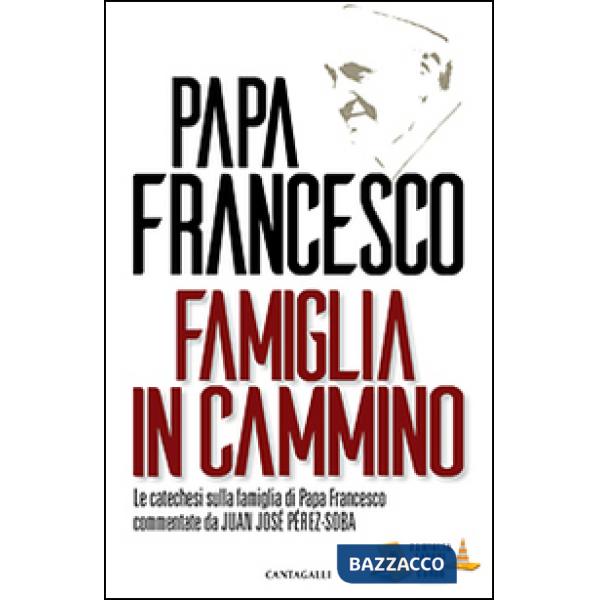Famiglia in cammino. La catechesi sulla famiglia di papa Francesco