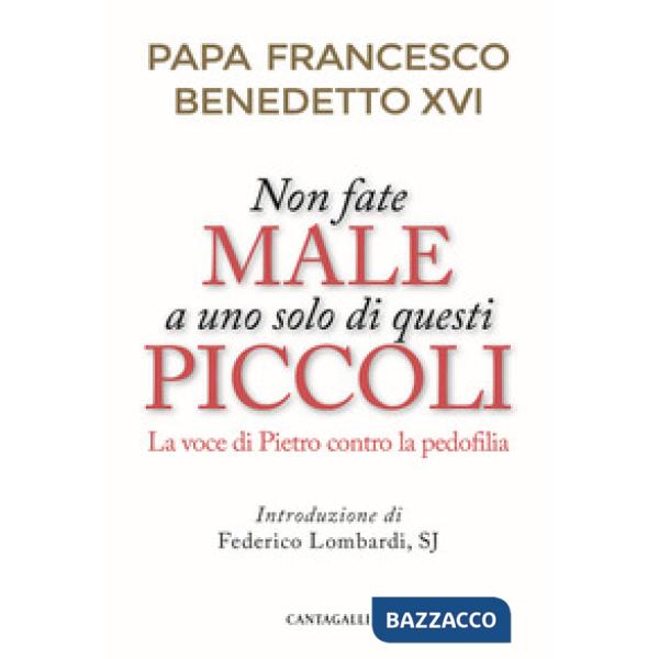 Non fate male a uno solo di questi piccoli. La voce di Pietro contro la pedofili
