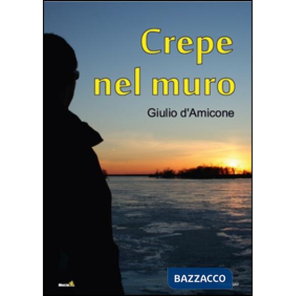 Crepe nel muro