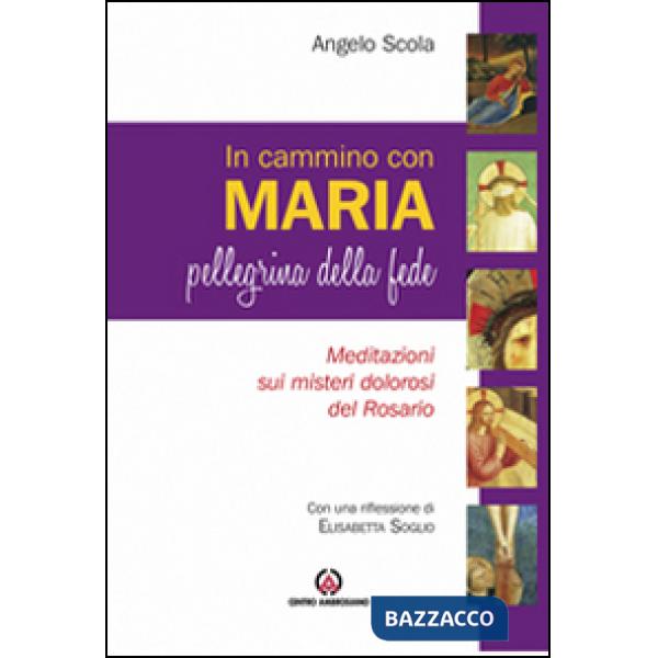 In cammino con Maria pellegrina della fede. Meditazione sui misteri della luce del Rosario