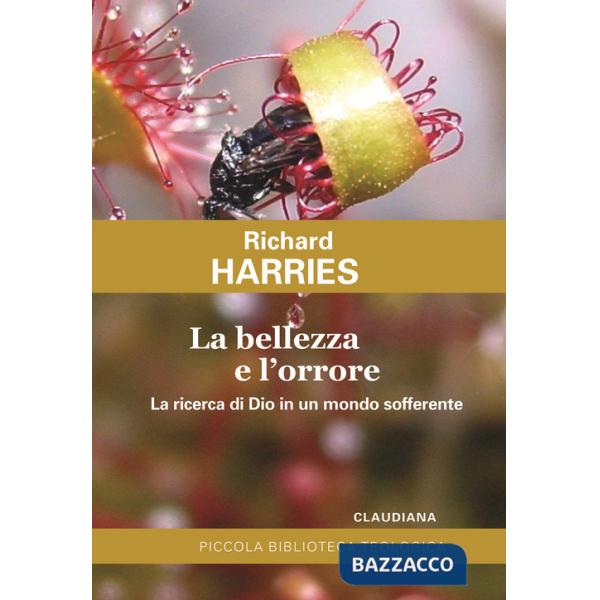 Bellezza e l'orrore. La ricerca di Dio in un mondo sofferente (La)