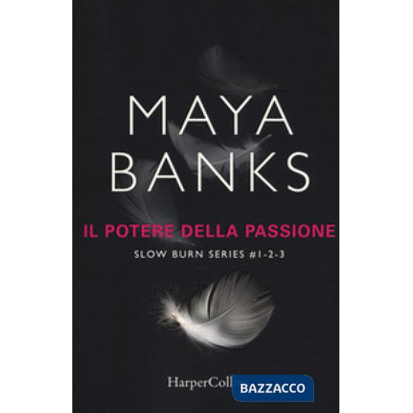 Potere della passione. Slow burn series: Proteggimi-Tienimi-Salvami (Il). Vol. 1