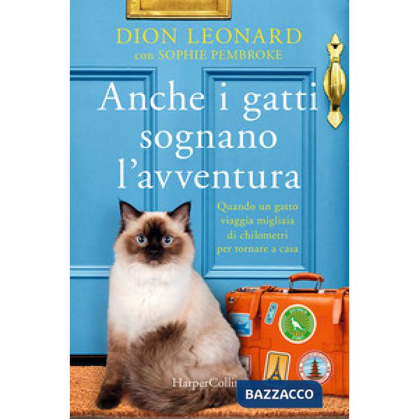 Anche i gatti sognano l'avventura