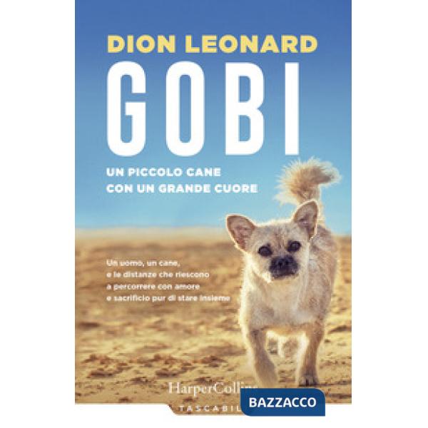 Gobi. Un piccolo cane con un grande cuore