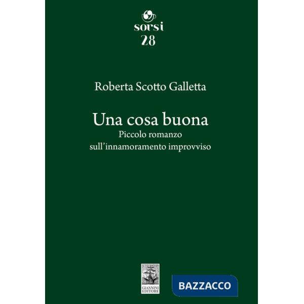 Cosa buona. Piccolo romanzo sull'innamoramento improvviso (Una)