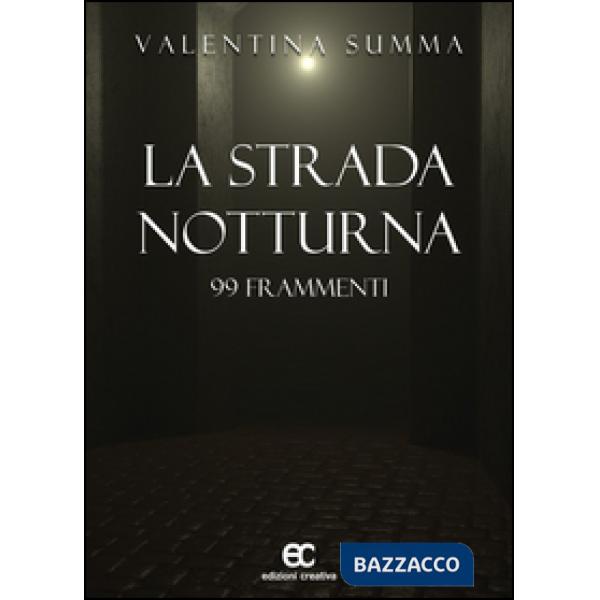 Strada notturna. 99 frammenti (La)