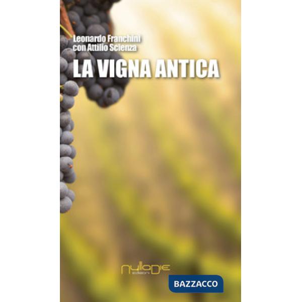 Vigna antica (La)