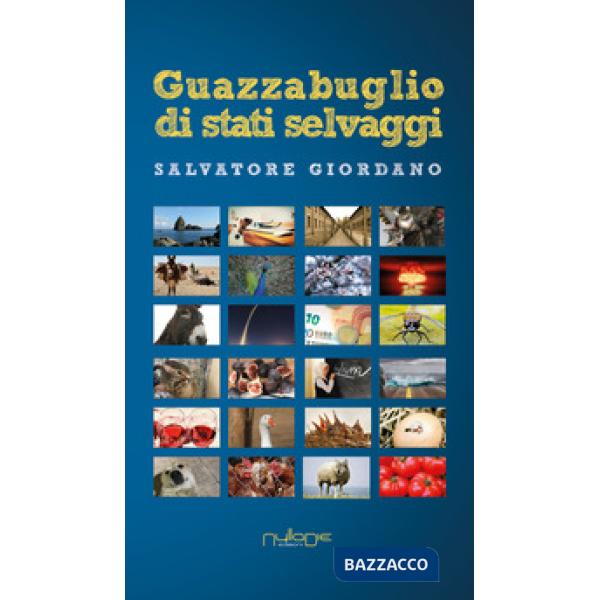 Guazzabuglio di stati selvaggi