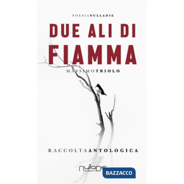 Due ali di fiamma
