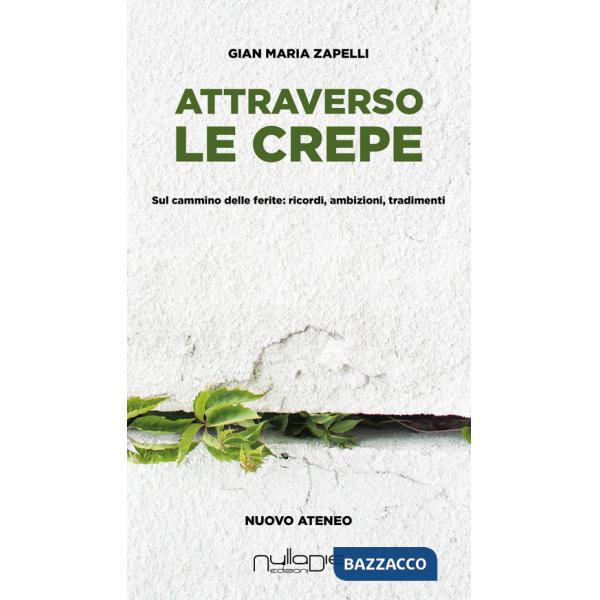 Attraverso le crepe. Sul cammino delle ferite: ricordi, ambizioni, tradimenti