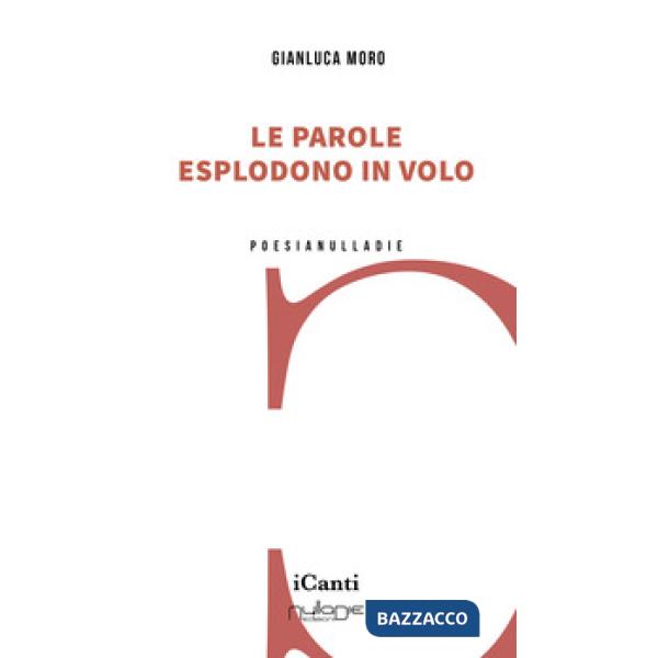 Parole esplodono in volo (Le)