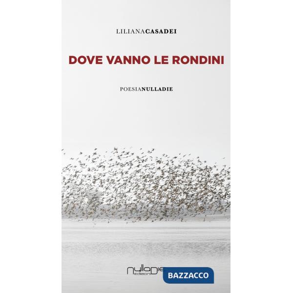 Dove vanno le rondini