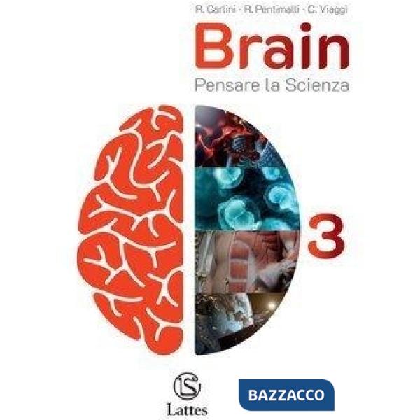 BRAIN VOL. 3