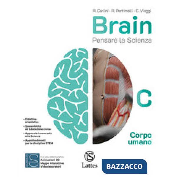 BRAIN VOL. C