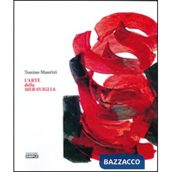 Arte della meraviglia (L')