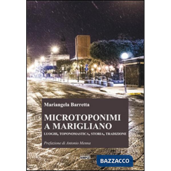 Microtoponimi a Marigliano. Luoghi, toponomastica, storia, tradizione