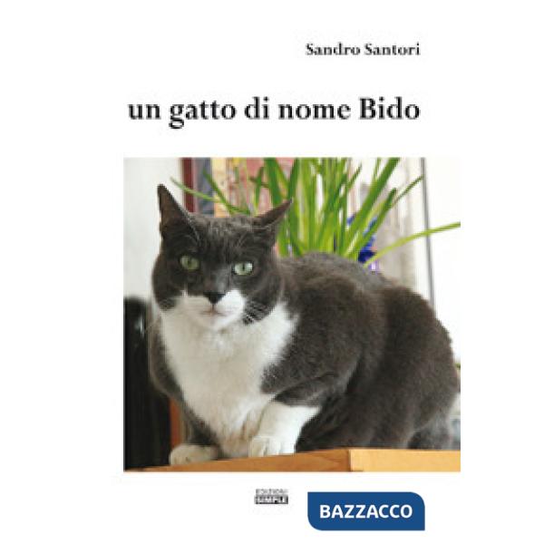 Un gatto di nome Bido