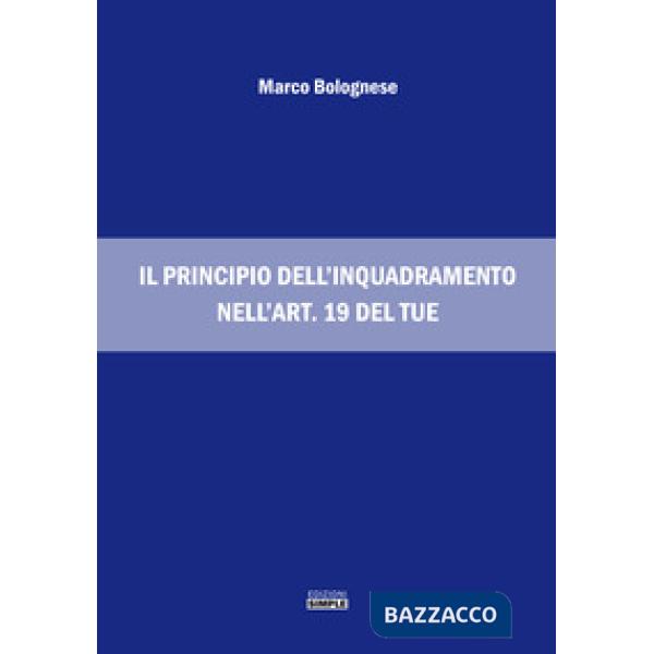 Principio dell'inquadramento nell'art. 19 del TUE (Il)