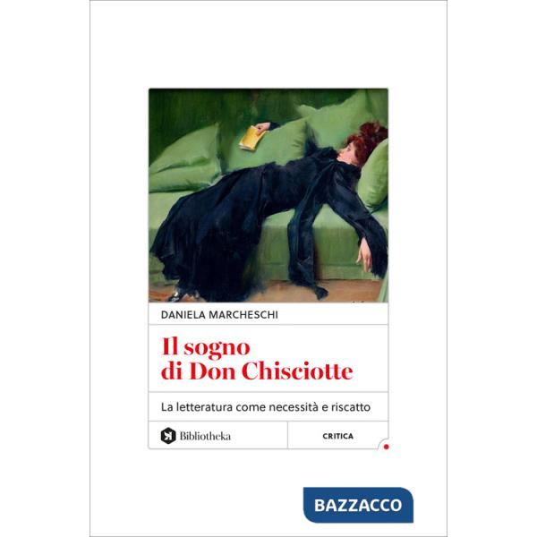 Sogno di Don Chisciotte. La letteratura come necessità e riscatto (Il)