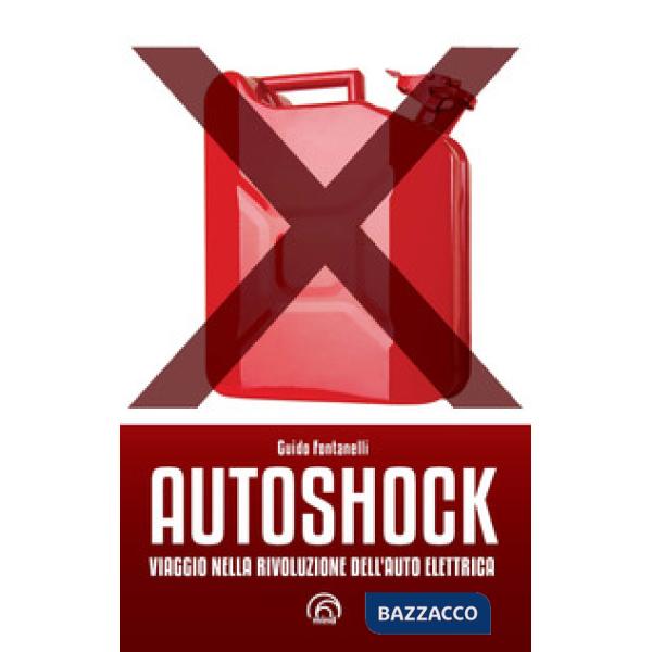 Autoshock. Viaggio nella rivoluzione dell'auto elettrica