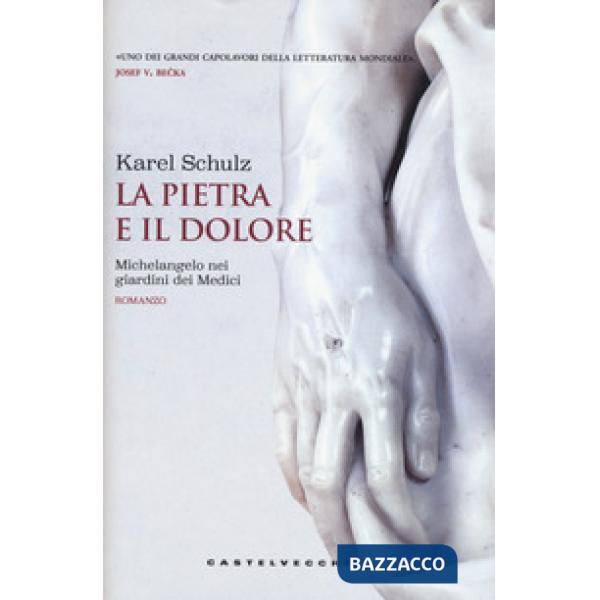 Pietra e il dolore. Michelangelo nei giardini dei Medici (La)