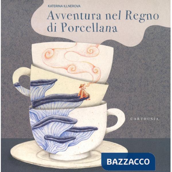 Avventura nel regno di porcellana. Ediz. a colori