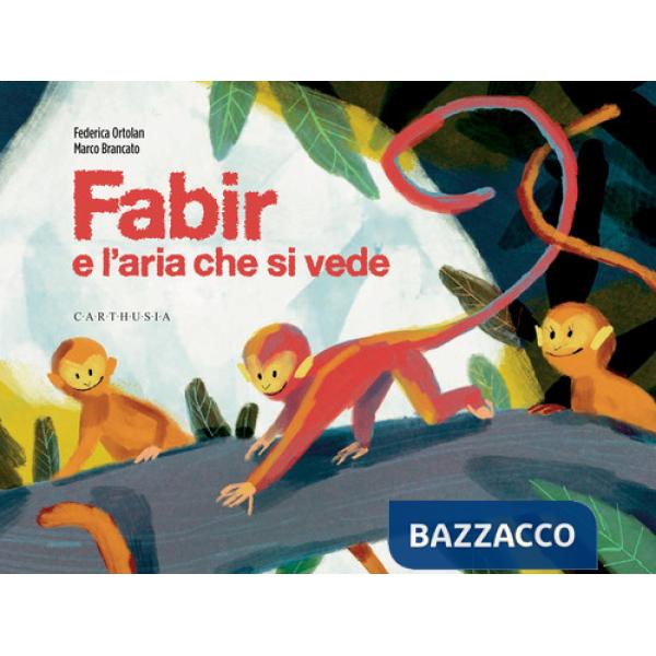 Fabir e l'aria che si vede. Ediz. a colori