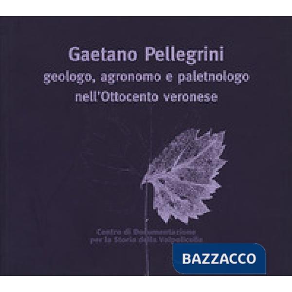 Gaetano Pellegrini geologo, agronomo e paletnologo nell'Ottocento veronese. Atti del Convegno
