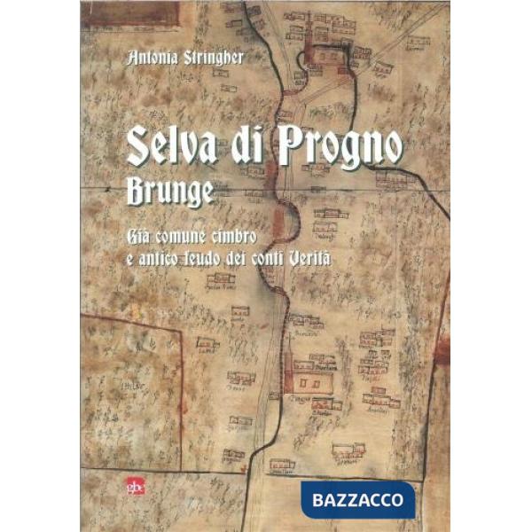Selva di Progno. Brunge. Già comune cimbro e antico feudo dei conti Verità