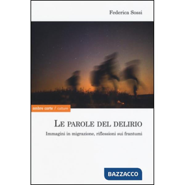 Parole del delirio. Immagini in migrazione, riflessioni sui frantumi (Le)