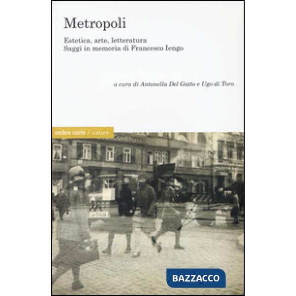 Metropoli. eEstetica, arte, letteratura. Saggi in memoria di Francesco Iengo