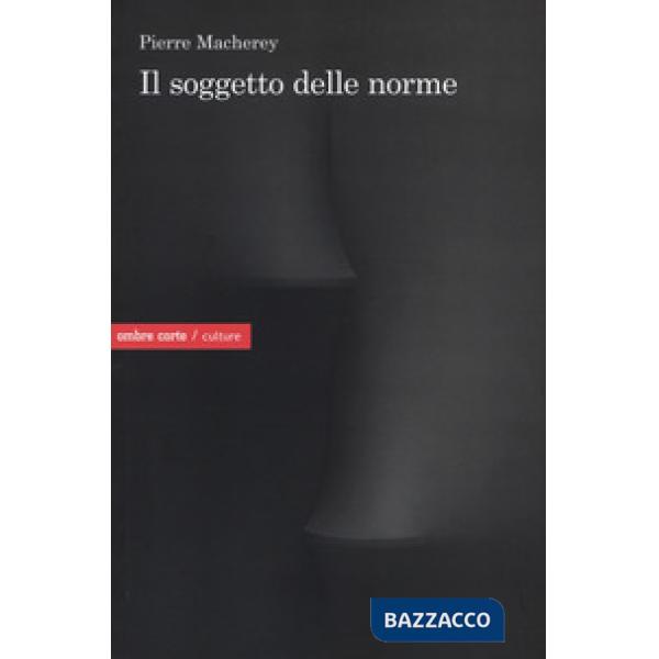 Soggetto delle norme (Il)