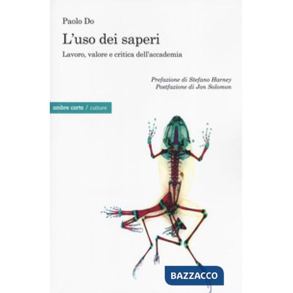 Uso dei saperi. Lavoro, valore e critica dell'accademia (L')