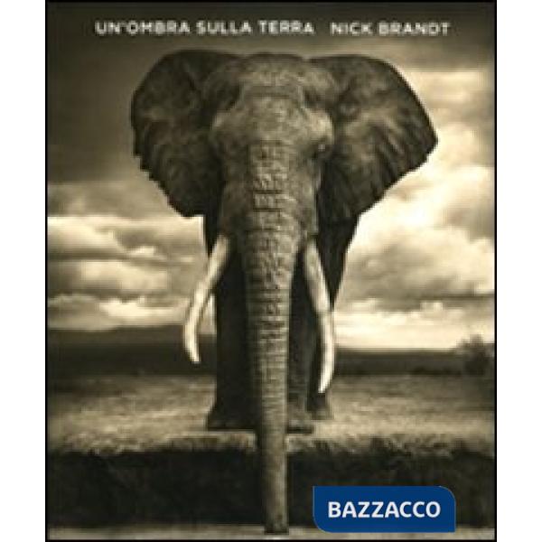 Ombra sulla terra. Ediz. illustrata (Un')