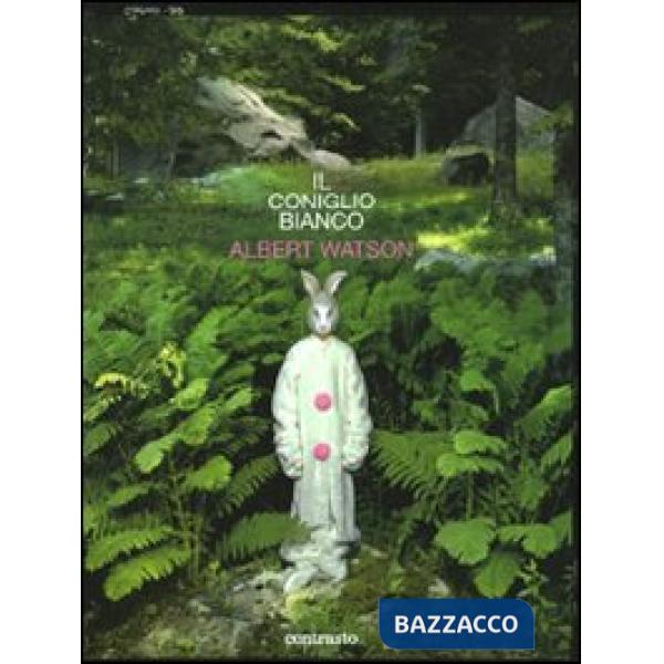 Coniglio bianco (Il)