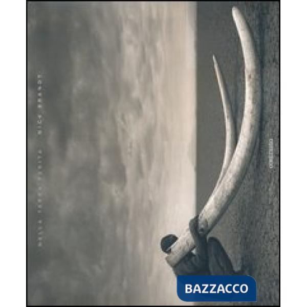 Nella terra ferita. Ediz. illustrata