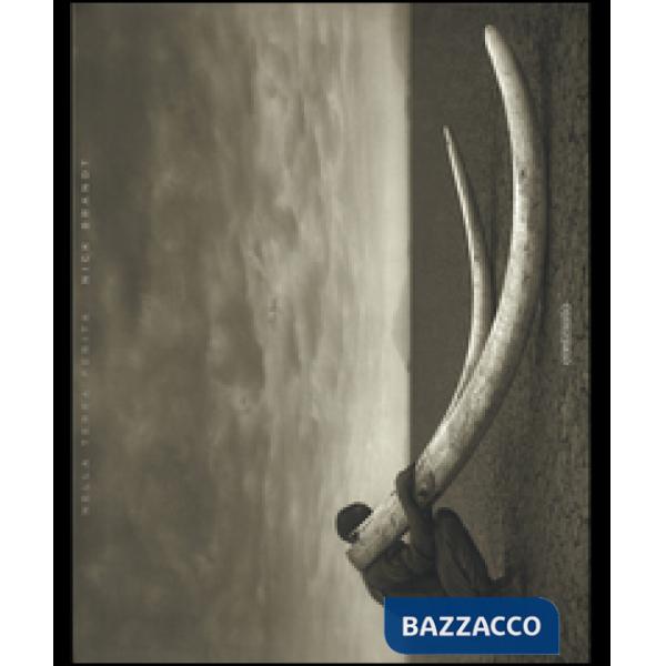 Nella terra ferita. Ediz. illustrata