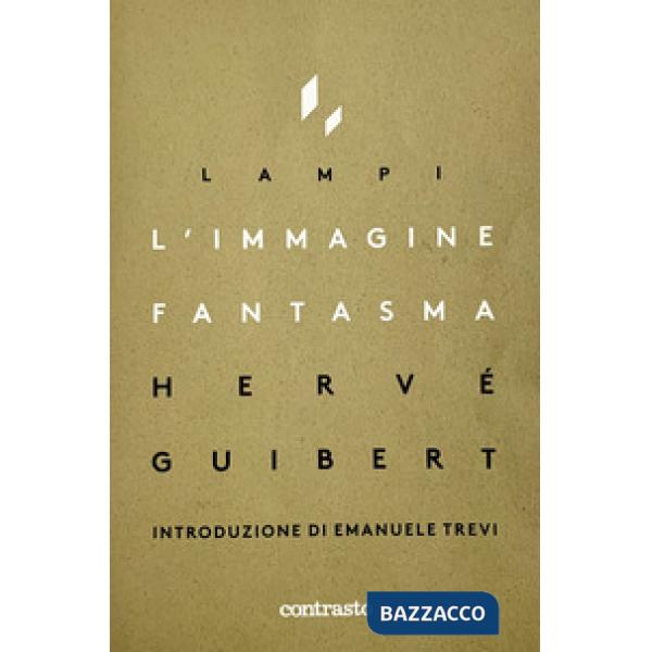 Immagine fantasma (L')